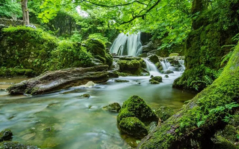 高效高端可靠性